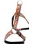 Köpek göğüs tasması orta ırk suni deri renkli H tipi genişlik:2,5cm göğüs ölçüsü:55-70cm boyun ölçüsü:45-60cm ayarlamalı dog harness GT1-11 4