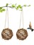 3x Globe Sinek Kuşu Nesters Rattan Balls Papağan Kuşu Yuvalama Açık Bahçe (Yurt Dışından) 5