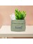 Sak Saksı Etli Ekici Sevimli Sanat Dekoru Ofis Masaüstü Kaktüs Kedi Yeşili Hayvan (Yurt Dışından) 4