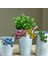 4pcs Gecko Dekor Asma Dekorasyonlar Bahçe Heykelleri Çekme Çimen (Yurt Dışından) 2