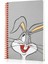 Buggs Bunny + Tweety + Tom ve Jerry Butik Defter Seti 1 Kareli 2 Çizgili 2