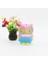 10 Pc Sadıng Woodpecker Dekompresyon Havalandırma Çocukları Eğitim Oyuncakları, Renk: Birincil Renk Tek Kuş(Yurt Dışından) 4