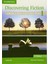 Cambridge Discovering Fiction 1 Sb 2nd Edition 1