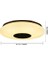Lambalar Akıllı LED Tavan Işık 32 W 40.5 cm Tavan Lambası Bluetooth Hoparlör Rgb Renk Sıcaklığı (Yurt Dışından) 2