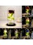 Jeqckloves Güller ve Sıcak LED Işıkları Konteyner Hediye Romantik Sevgililer Günü Düğün Yıldönümü ve Günlük Yaşam Dekorasyon (Pembe Gül + Sıcak L (Yurt Dışından) 4