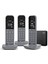 CL390 Trio 1