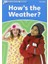 Dolphıns 1:how Is The Weather 1