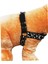 Köpek göğüs tasması minik ırk göğüs ölçüsü:30-45cm ayarlamalı dog harness GT5-3 10
