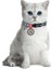 Collar Qr Pasaportlu Kedi Boyun Tasması 20-30 cm 10 mm "ethno" 2