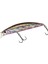 Beach Walker Axcion 95S GQA0173 Yellow Corbina Pb 1