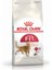 Sinerji Shop Canin Adult Fit 32 Yetişkin Diyet Kedi Maması 4 kg 1