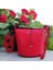 Red Elegant Kırmızı Çapraz Çanta 1