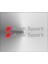 Audi Sport Stickeri 2 Adet Set Araba Etiketi 1