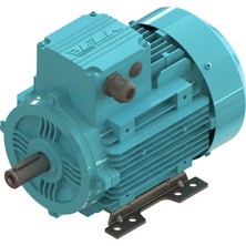 Elk 0.18 Kw 1/4 Hp 3000 D/d-B3 (2EL063M2A) 380 400 Volt Trifaze Ie2 B3 Ayaklı Elektrik Motoru