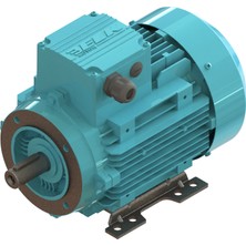 Elk 0.25 Kw 1/3 Hp 3000 D/d-B34 (2EL063M2B) 380 400 Volt Trifaze Ie2 B34 Ayaklı Flanşlı Elektrik Motoru