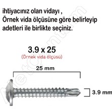 Alet Çantam  Apex Akıllı Matkap Uçlu Vidası Pul Başlı Vida Rysb 3.9 x 16 mm 100 Adet