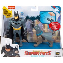 HGL01 Imaginext Dc League Of Super Pets -  Kahramanlar ve Hayvanlar