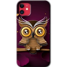 Bera Aksesuar iPhone 11 Kılıf Hd Desen Baskılı Arka Kapak - Owl Bird Branch