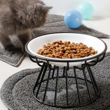 Dolity Kedi Köpek Kase Evcil Hayvan Mama Su Kasesi (Yurt Dışından)