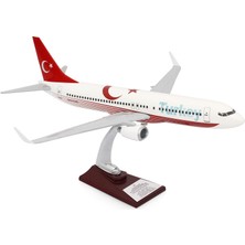 Zekupp - Maket Uçak - Boeing 737-800 1/100 - Türkiye Özel Tasarımlı Model Uçak, Model D