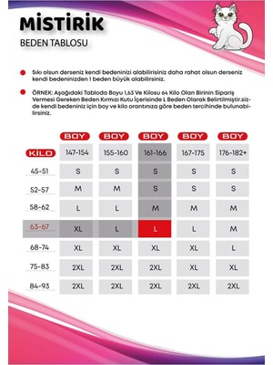 Mistirik  Pacalı Korse Dikişsiz Silikonlu Ten Renk