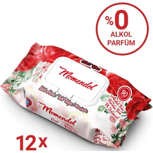 Islak Havlu 90LI - 12 x 90LI - 1080 Adet