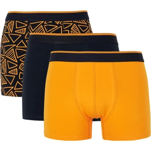 Regular Fit 3'lü Boxer T4929AZ22AU