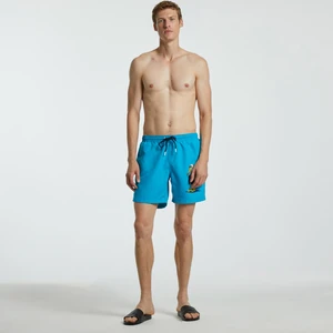 Erkek Yeşil Standart Fıt Şort Mayo T25406T.40F