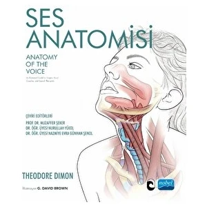 Ses Anatomisi