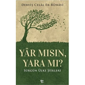 Yar Mısın, Yara Mı?