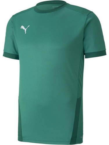 Puma teamgoal 23 store jersey