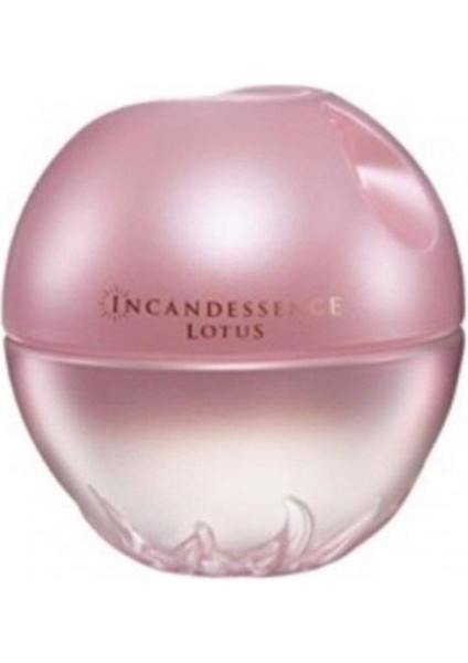 Incandess Lotus