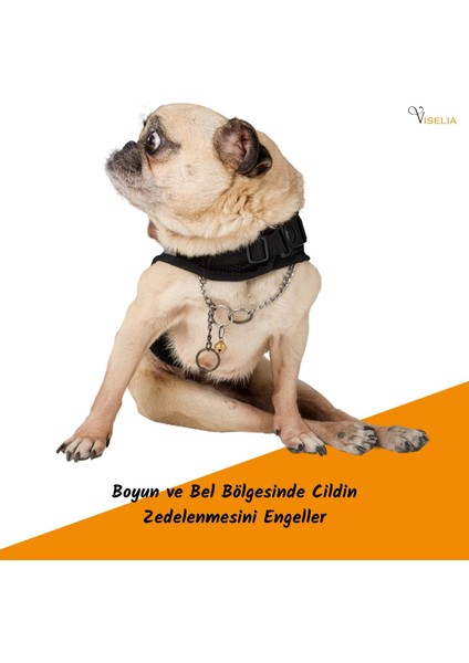 Köpek Tasması Göğüs Boyun Tasma Seti Sevk Kayışlı Terletmeyen Nefes Alan Reflektörlü Tasma modelleri