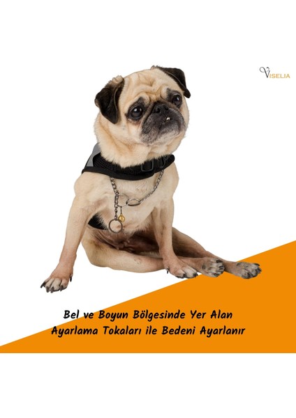 Köpek Tasması Göğüs Boyun Tasma Seti Sevk Kayışlı Terletmeyen Nefes Alan Reflektörlü Tasma indirimleri