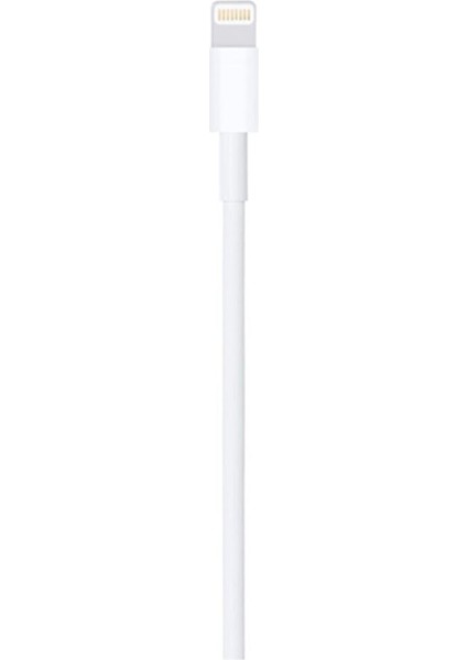 Iphone Uyumlu 2ADET Şarj Aleti Kablosu 1m 5 6 7 8 Plus Xs Max 11 Lightning USB Kablosu