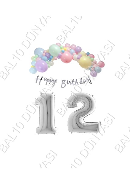 Happy Bırthday Yazılı Kaligrafi Banner Makaron Balon Seti 12 Yaş Gümüş Set Doğum Günü