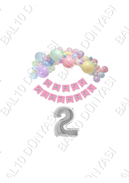 Happy Bırthday Yazılı Banner Makaron Balon Seti 2 Yaş Gümüş Set Doğum Günü