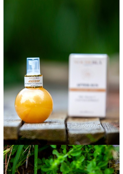 After Sun Gold Invention – Güneş Sonrası Ferahlatıcı ve Yenileyici Sprey (100 ml) fiyatları