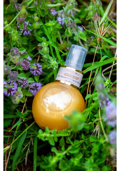 After Sun Gold Invention – Güneş Sonrası Ferahlatıcı ve Yenileyici Sprey (100 ml) indirimleri