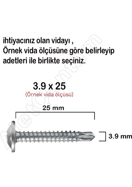 Apex Akıllı Matkap Uçlu Vidası Pul Başlı Vida Rysb 3.9 x 16 mm 100 Adet