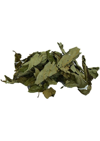 Üvez Yaprağı Doğal 100 gr Paket