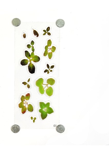 Reçine Epoksi Sticker - Yaprak 5