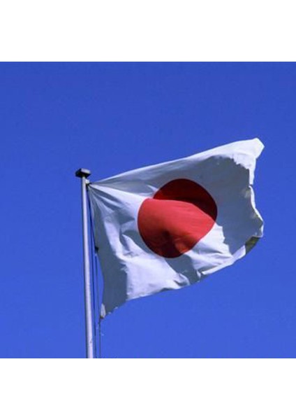 Japonya Uluslararası Ülke Polyester Bayrağı 3 Feet x 5 Feet (Yurt Dışından) fırsatları