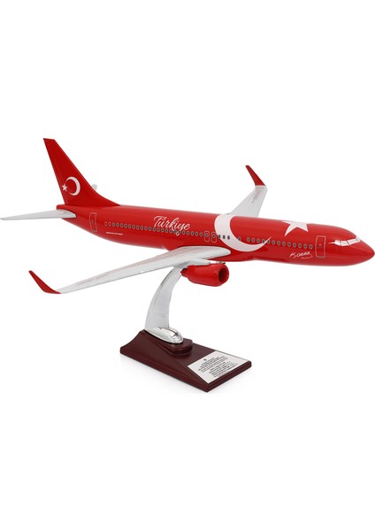 - Maket Uçak - Boeing 737-800 1/100 - Türkiye Özel Tasarımlı Model Uçak, Model E