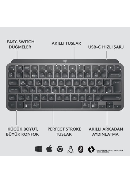 MX Keys Mini Combo Minimalist Kablosuz Aydınlatmalı  Q-Türkçe Klavye ve MX Anywhere 3 Kompakt Performans Mouse Seti, Siyah For Business