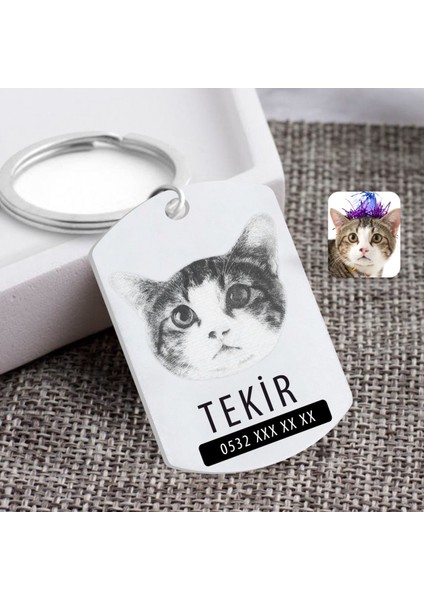 Kişiye Özel Karakalem Evcil Dost Kedi Pleksi Künye