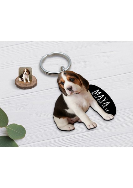 Kişiye Özel Evcil Dost Köpek Ahşap Künye