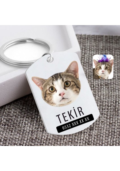 Kişiye Özel Evcil Dost Kedi Pleksi Künye