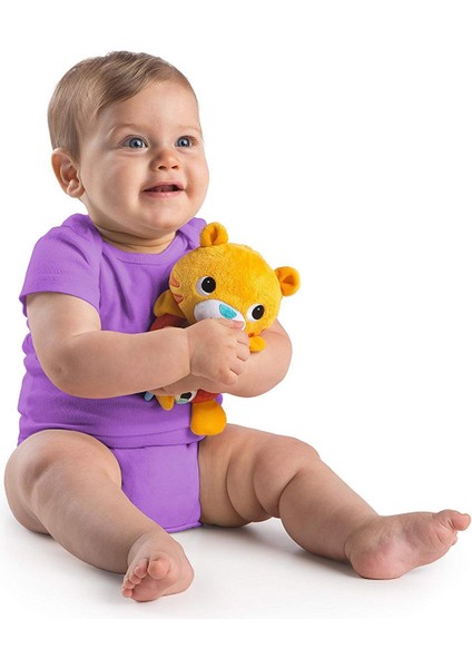 Bright Stars Bright Starts Sevimli Çıngırak & Dişlik - Kaplan fiyatları