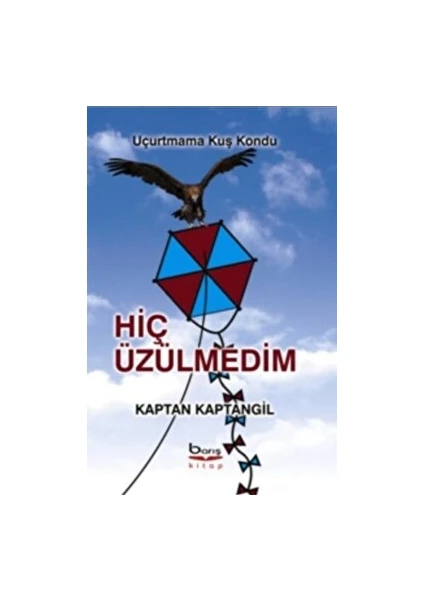 Hiç Üzülmedim